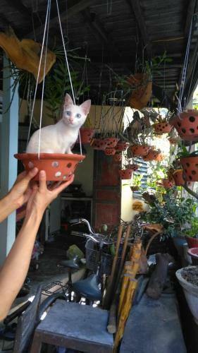 Hue Happy Homestay