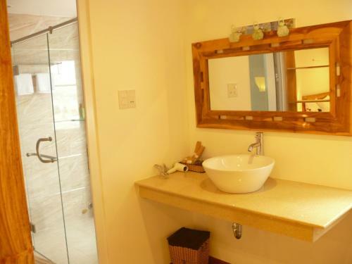 Rex Hotel & Apartment