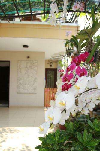 Ngoc Minh Hotel