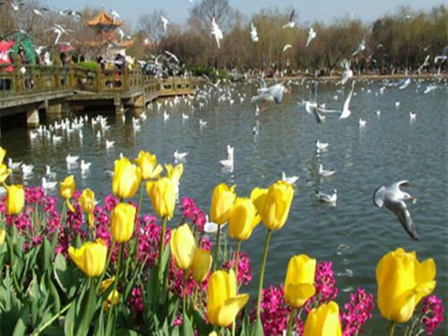 Fairyland Hotel Kunming East Railway Station