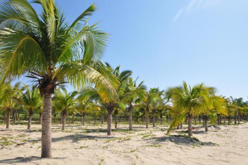 Hotel Hainan Greentown Blue Bay Resort