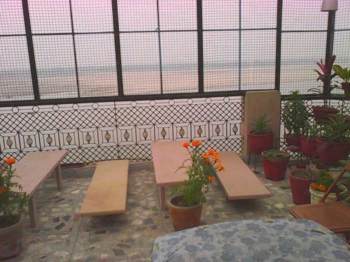 Hostal Leela Guest House