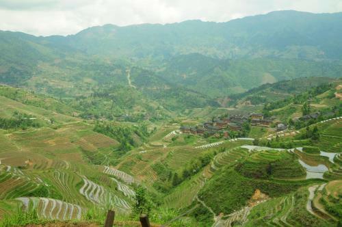 Posada Longji Rice Terraces Tian Ranju Inn