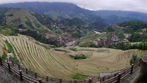Hostal Longji Terrace Wood House