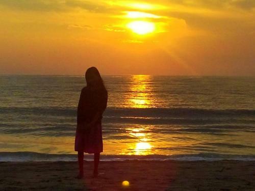 Bed & Breakfast Marari Nest Beach Homestay