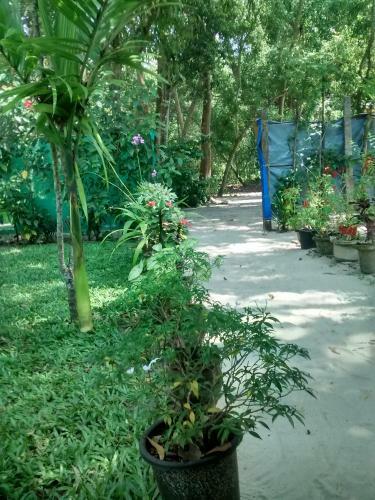 Bed & Breakfast Marari Nest Beach Homestay