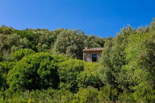 Agroturismo Relais Il Termine