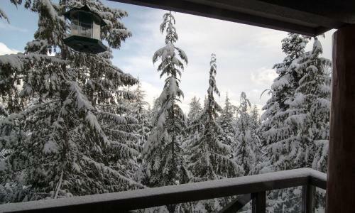 Apartamentos The Benchlands By Blackcomb Peaks Accommodation