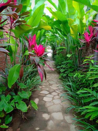 Hostal The Amrta Borobudur