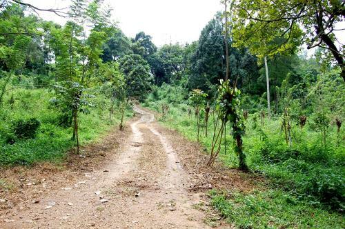 Agroturismo Nature Hub Koslanda