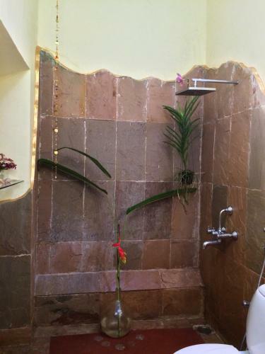 Agroturismo The Secret Garden Goa