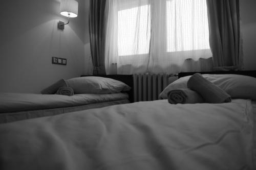 Hostal Guest House Zavicaj Pale