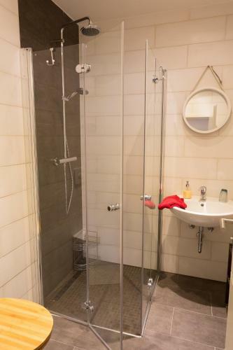 Apartamento Harz Cottage