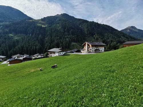 Albergue Appartement Berghof