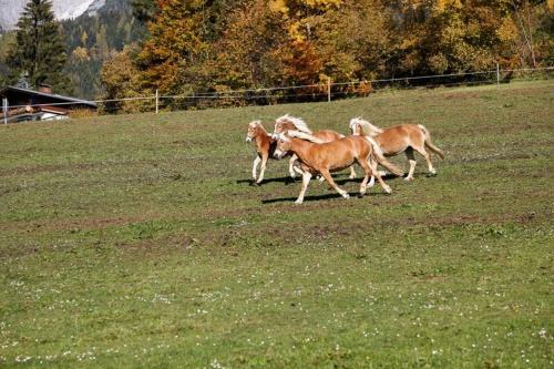 Apartamento Einberghof