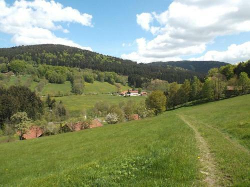 Apartamento Ferienwohnung Lindenhof