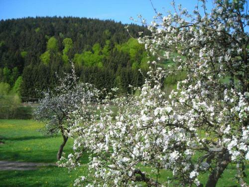 Apartamento Ferienwohnung Lindenhof