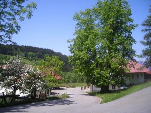 Apartamento Ferienwohnung Lindenhof