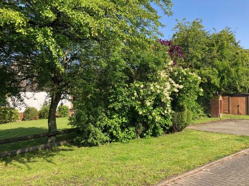 Apartamento Ferienanlage Bullerb�