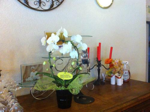Hotel H�tel De Normandie
