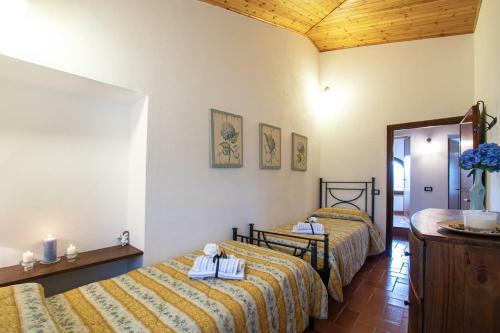 Agroturismo Agriturismo Il Poderuccio