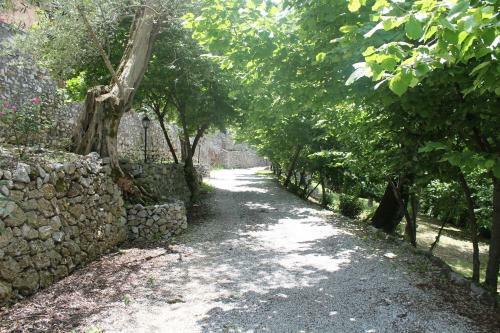 Agroturismo Agriturismo Casa Scola