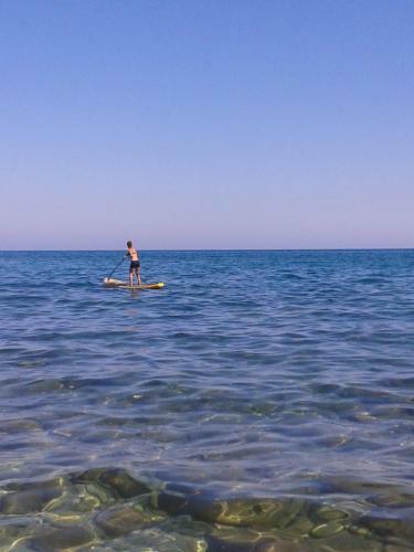 Le Petit Corbi�res