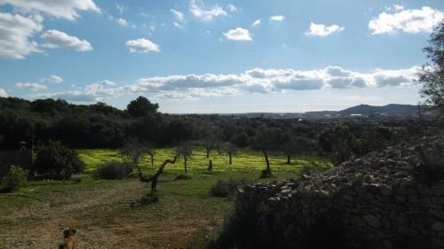 Sa Comella