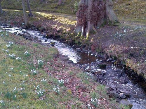 Tweed View B&B