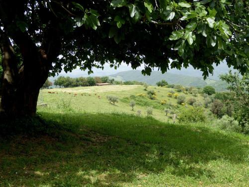 Holiday Home San Gimignano