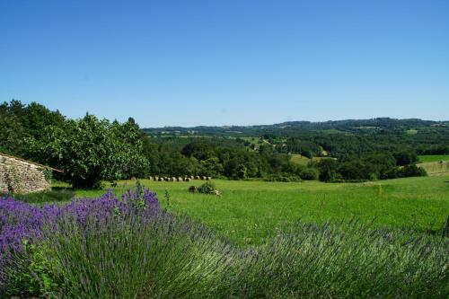 Domaine De La Licorne