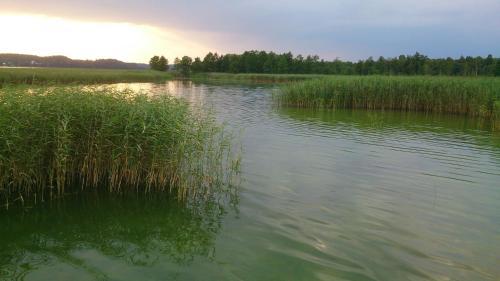 Dom Nad Jeziorem Staw