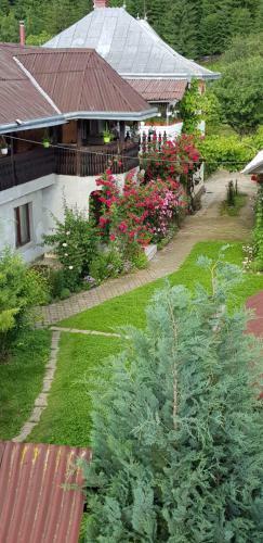 Hostal Casa Lucian