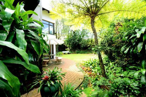 Hostal Oliveroom