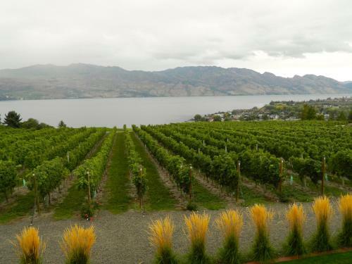 Bed & Breakfast Winedownhere