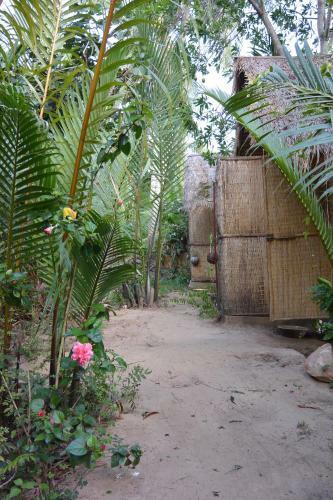 Hotel Eden Eco Village