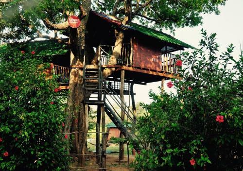 Lodge Elephant Watch Hut