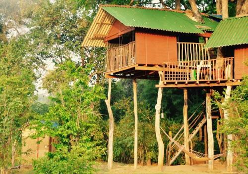 Lodge Elephant Watch Hut