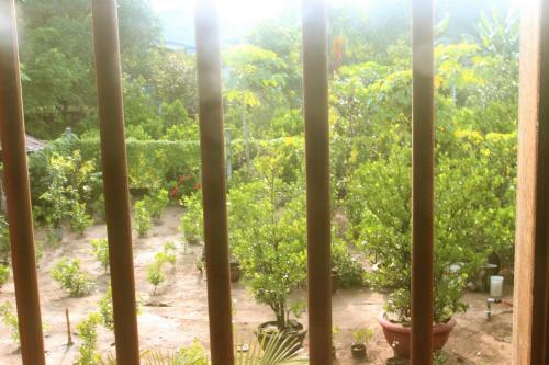 Golden Lantern Hoi An Homestay