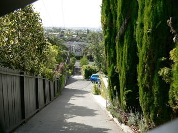 Mount Hobson Boutique Accommodation
