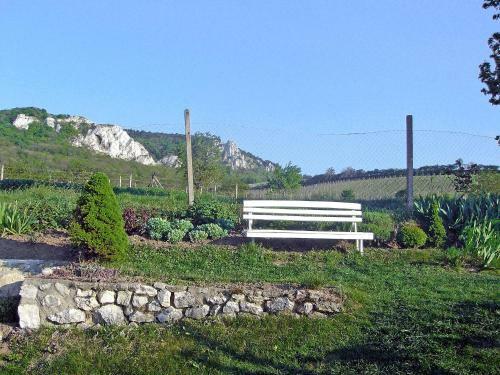 Villa Horni Vestonice