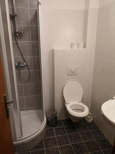 Hostal Riegrova Chata Koz�kov