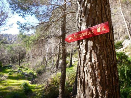 Hostal Finca Ses Fontanelles