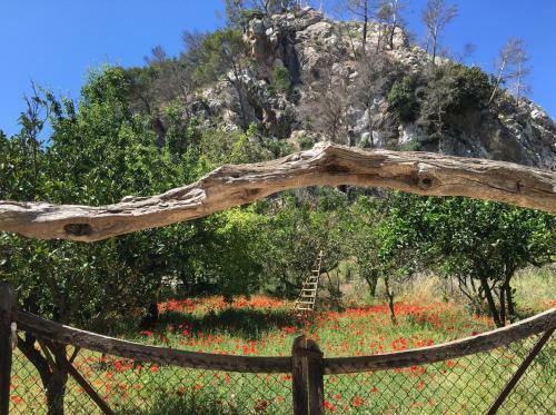 Hostal Finca Ses Fontanelles