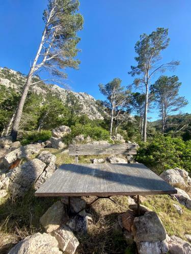 Hostal Finca Ses Fontanelles