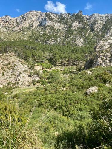 Hostal Finca Ses Fontanelles
