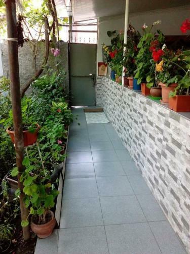 Hostal Guest House Duruji