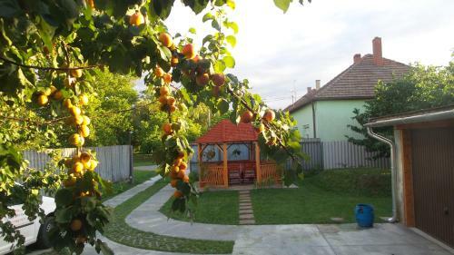Tiszavir�g Apartmanh�z