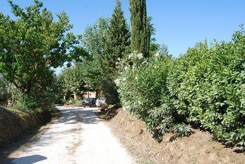 Agroturismo Tenuta Il Pino