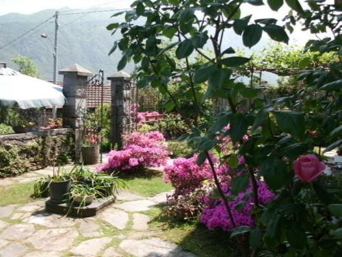 B&B Al Mutpron